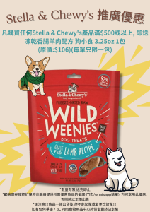 Stella-Chewys-Promotion-Poster