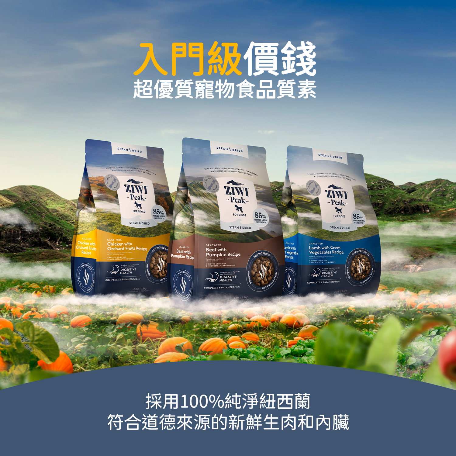 Ziwi Peak巔峰 微蒸風乾狗糧 草飼牛肉配南瓜食譜10