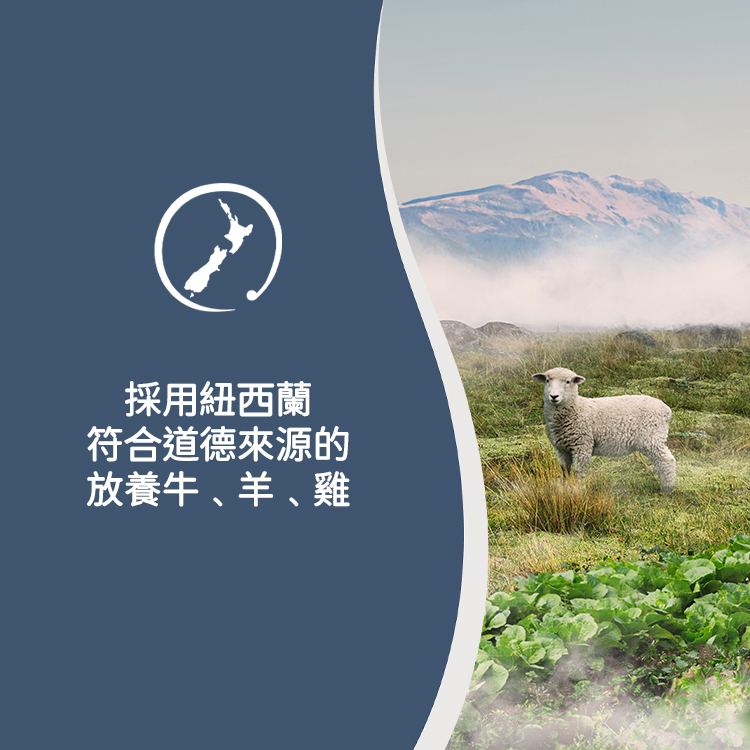 Ziwi Peak巔峰 微蒸風乾狗糧 草飼牛肉配南瓜食譜3