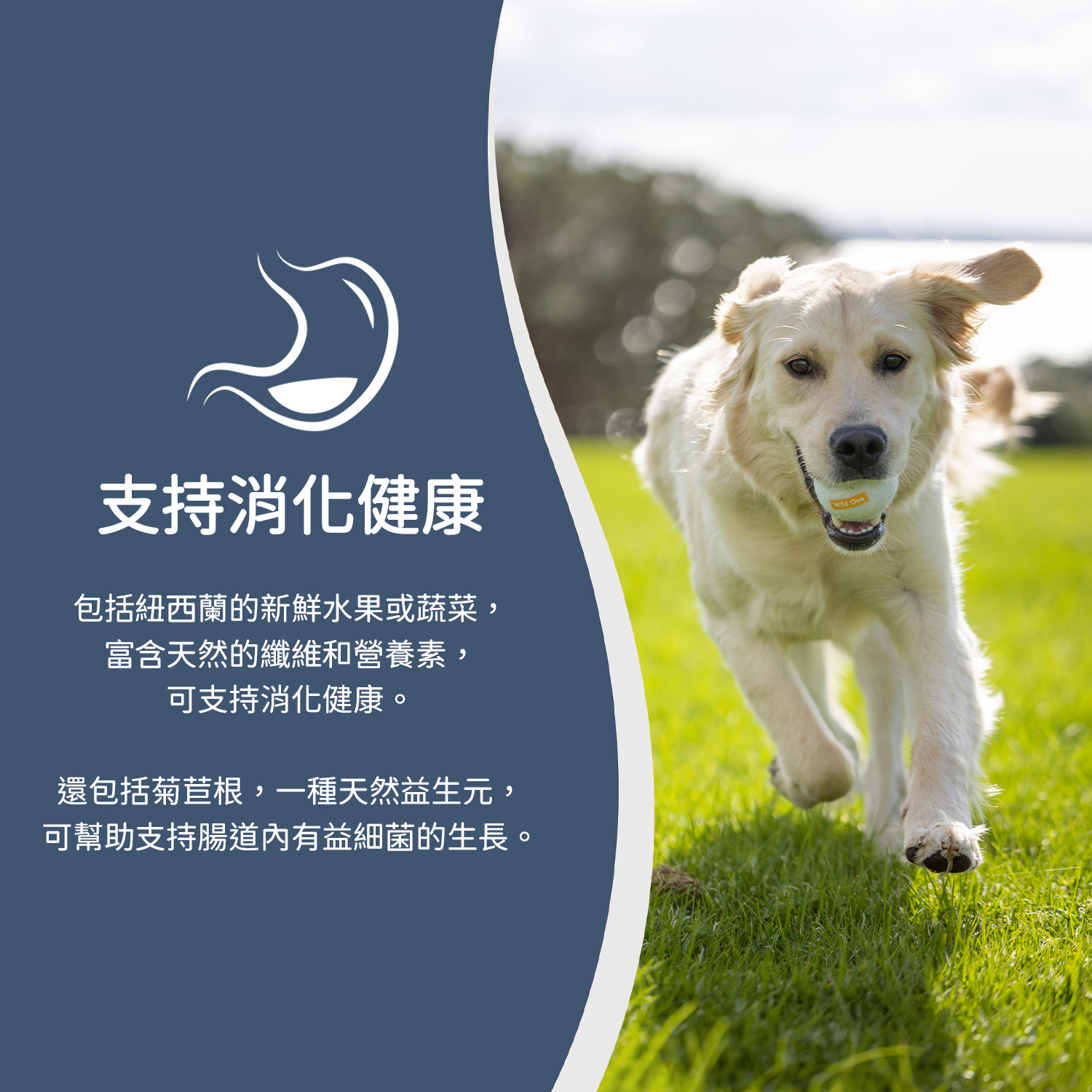 Ziwi Peak巔峰 微蒸風乾狗糧 草飼牛肉配南瓜食譜8