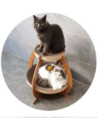 瓦通紙貓抓板附貓草(啡色兩層貓架)