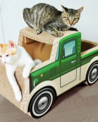 瓦通紙貓抓板附貓草(綠色貨車)