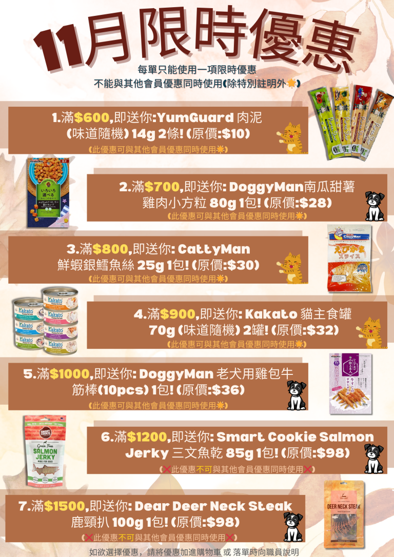 Read more about the article 2024年11月限時優惠
