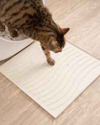 (2塊裝)汪喵星球 矽膠拼接落砂墊 (40 x 40 x 1±0.2 cm)(可選顏色)