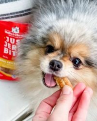 Stella & Chewy’s Just Jerky Bites 肉乾狗小食 6oz
