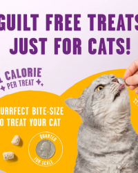 Stella & Chewy’s Meowfulls 喵呼! 貓凍乾小食 1.5oz