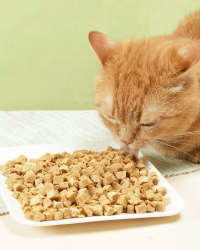 汪喵星球 冷凍乾燥生肉貓糧(小方粒型) (可選味道及份量)