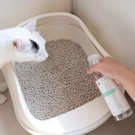 汪喵星球 消臭抗菌噴霧300ml補充瓶950ml6