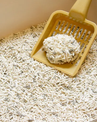 汪喵星球 益生菌消臭豆腐砂 – 原味(條型) 7L(2.7kg)