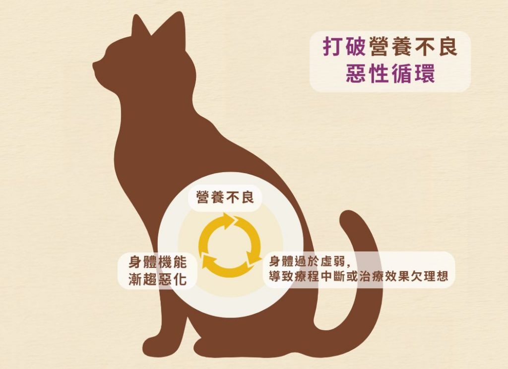 Cosset愛寵健 HMB及白藜蘆醇強效護理配方 115g 6