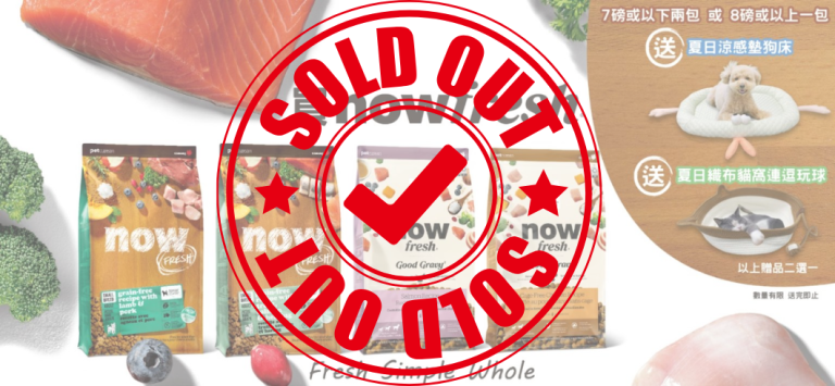 Read more about the article 🌞NOW 夏日Promotion🌞