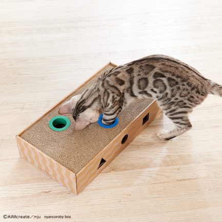 日本 GariGari Nyancoroby 盒式類型 瓦通紙貓抓板 46x24x9.5cm