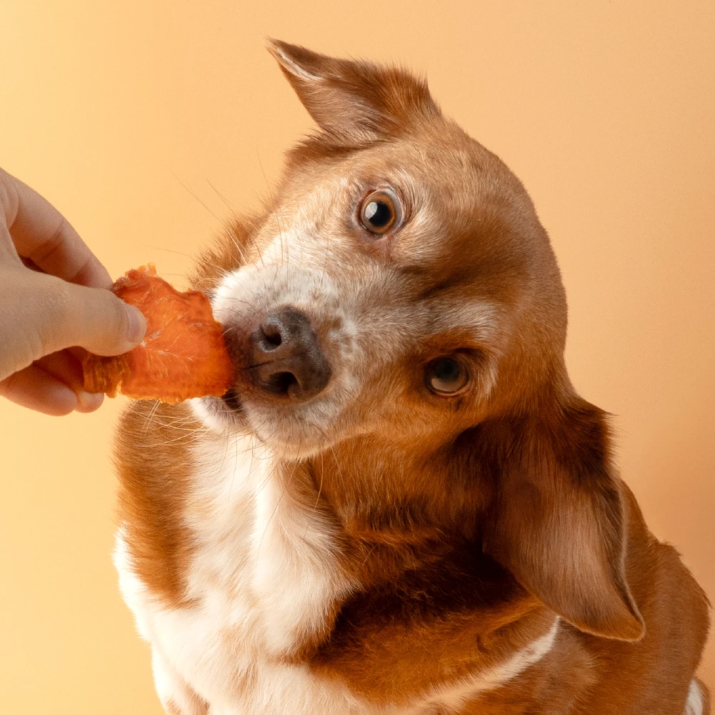 汪喵星球 狗狗咬咬原肉零食 - 熱烘雞里肌 67g1