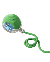 Lemmikki 電動老鼠逗貓球