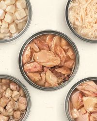 (原箱優惠)怪獸部落 無膠鮮肉煲 80g&160g (貓犬用) (可選味道及份量)