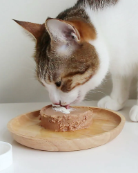 怪獸部落 – 益菌排毛粉 (腸胃健康補給) (貓犬用) 50g