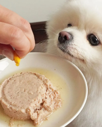 怪獸部落 – 護膚魚油 (皮膚保健配方) (貓犬用) 70粒