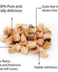 Kelly & Co’s Freeze Dried 凍乾貓小食 三文魚 40g