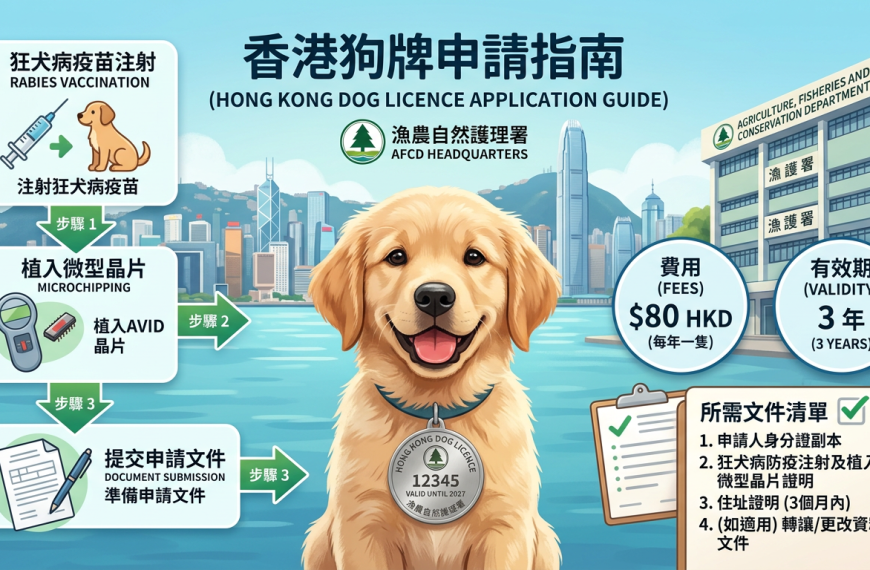 香港狗牌申請與續牌完整指南