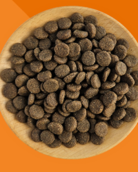 Kakato One “Lamb” for Dogs LID 狗糧 單一蛋白系列 羊肉 全犬糧 2kg