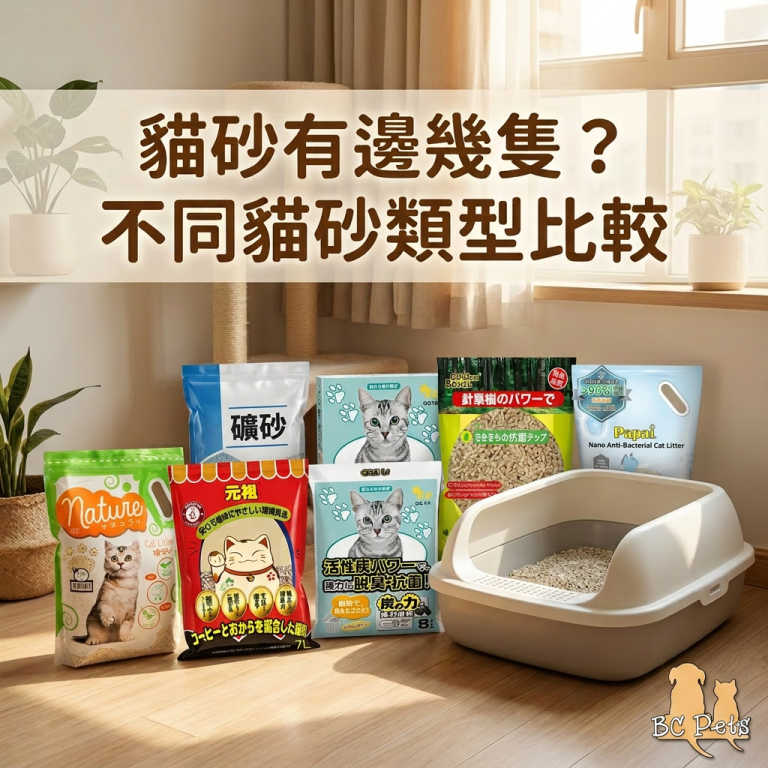 不同貓砂類型比較