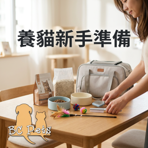 養貓新手要準備