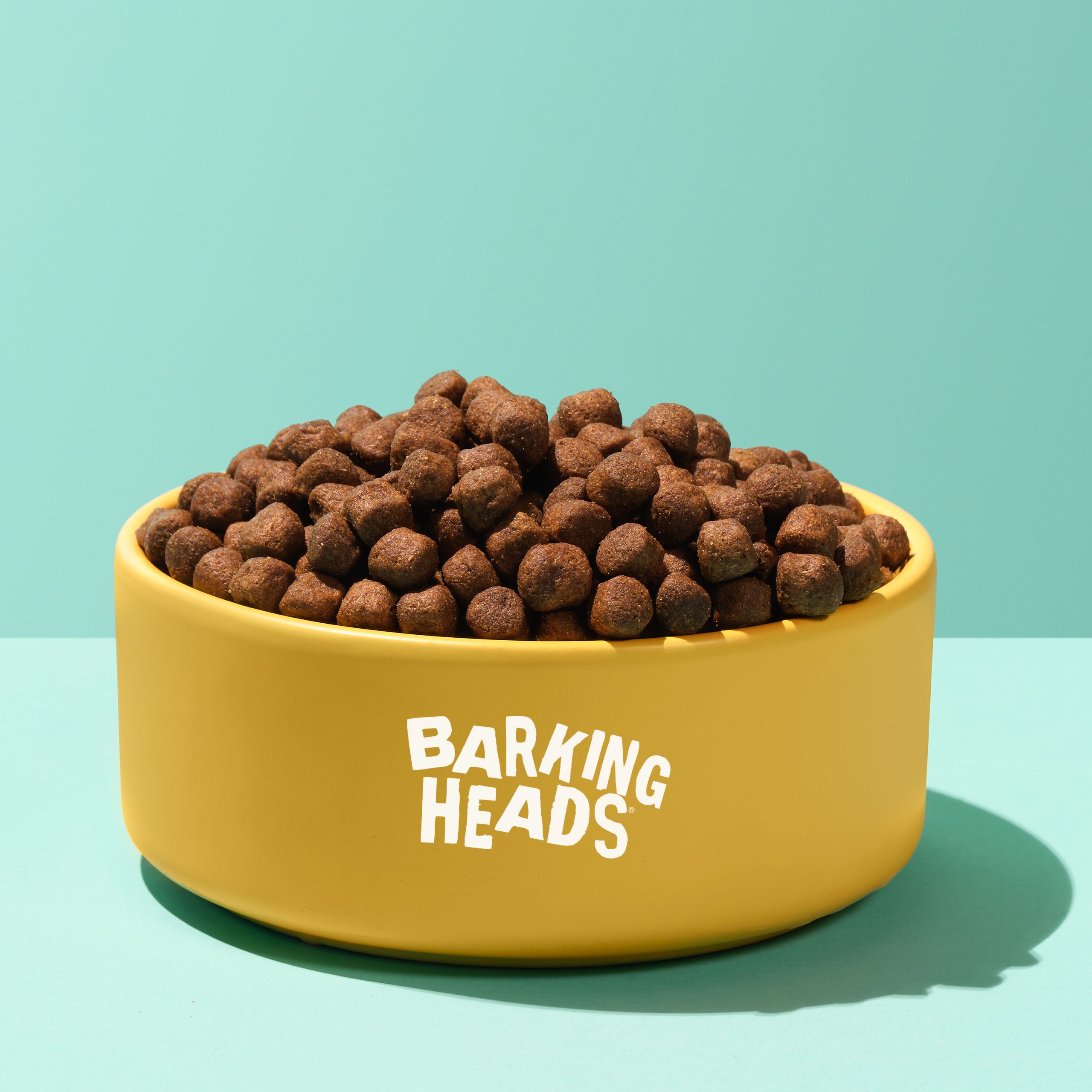 Barking Heads 全配方狗用主食乾糧系列 - Tummy Loving Care 無穀物成犬配方(白魚+三文魚+鱒魚)3