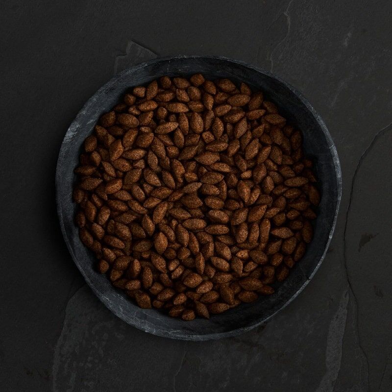Canagan原之選 Insect Protein 無榖物蟲蟲蛋白配方狗糧(幼成犬)2