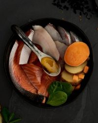 Canagan原之選 Scottish Salmon 無穀物蘇格蘭三文魚配方貓糧(幼/成貓)
