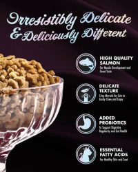 Fromm PurrSnickitty 慢煮全貓糧 三文魚配方