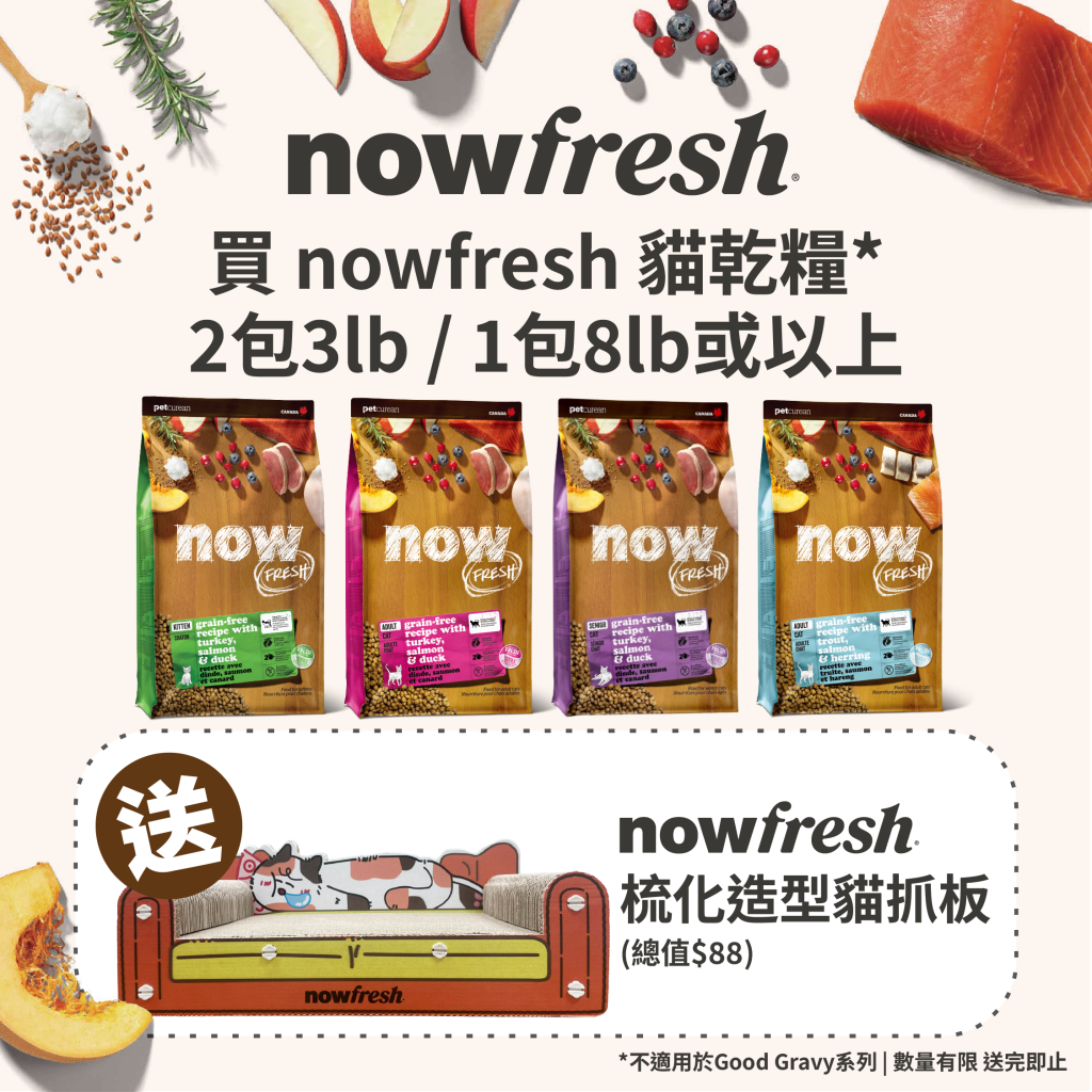 nowfresh_Social Cat