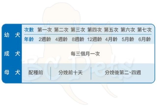 Drontal® Plus Tasty 犬用杜蟲藥 (1粒裝)3