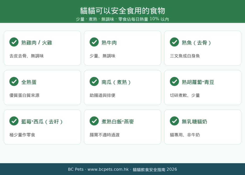 貓貓可以安全食用的食物清單