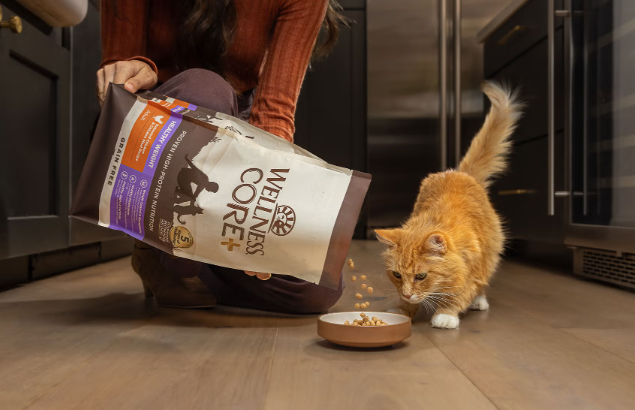 wellness dry cat food feeding