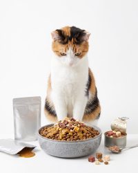 Cat Meal Toppers / Side Dishes