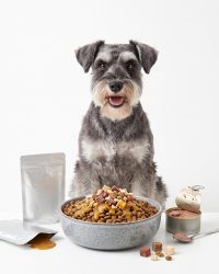 Dog side dishes / additional food items