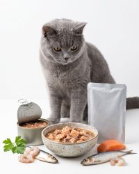 天然貓罐頭/濕糧 Natural Wet Cat Food