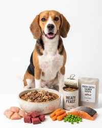 天然狗罐頭/濕糧 Natural Wet Dog Food