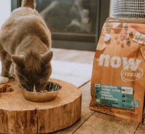 Now Fresh Cat Food