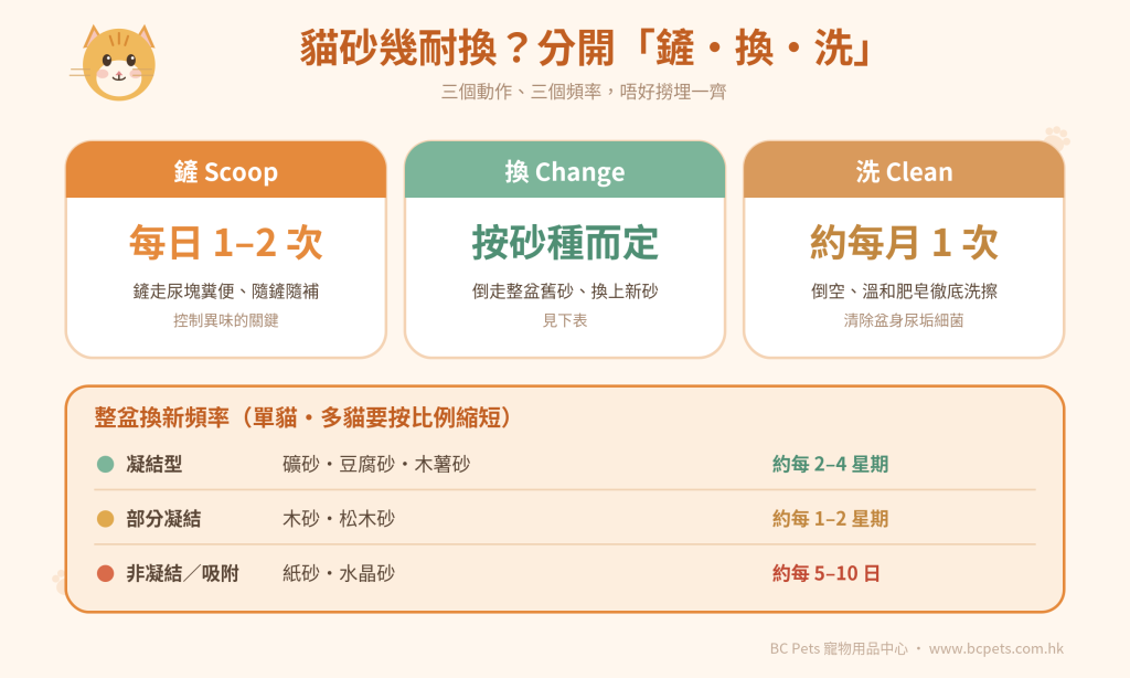 貓砂幾耐換?「鏟、換、洗」三件事分開計
