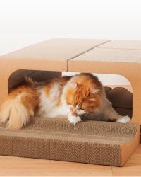 Dr Felis Cat-tris Magic Board 貓貓魔術貓抓板 (S – 29x29x7.2cm) 1個裝