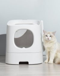 homerunPET Basic Cat Litter Box (CLB10MB) 基礎版貓砂盆