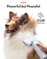 [香港正品行貨, 香港總代理一年保養]homerunPET Pet Hair Dryer (PD10) 寵物吹水機