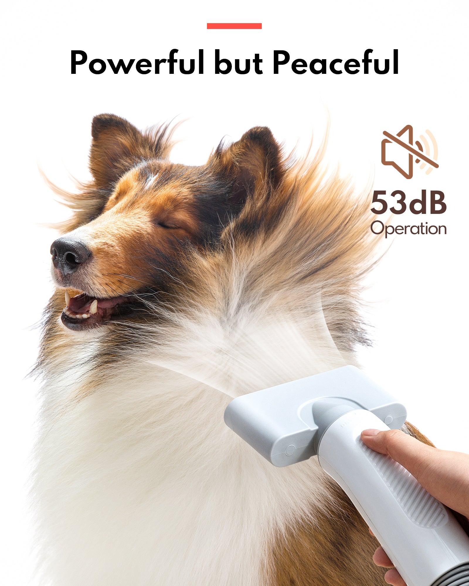 homerunPET Pet Hair Dryer (PD10) 寵物吹水機