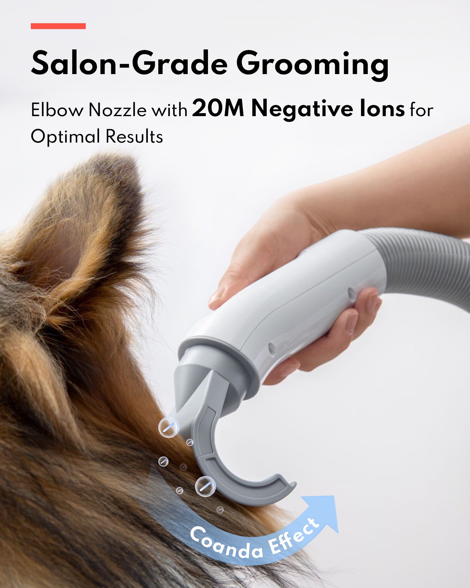 homerunPET Pet Hair Dryer (PD10) 寵物吹水機