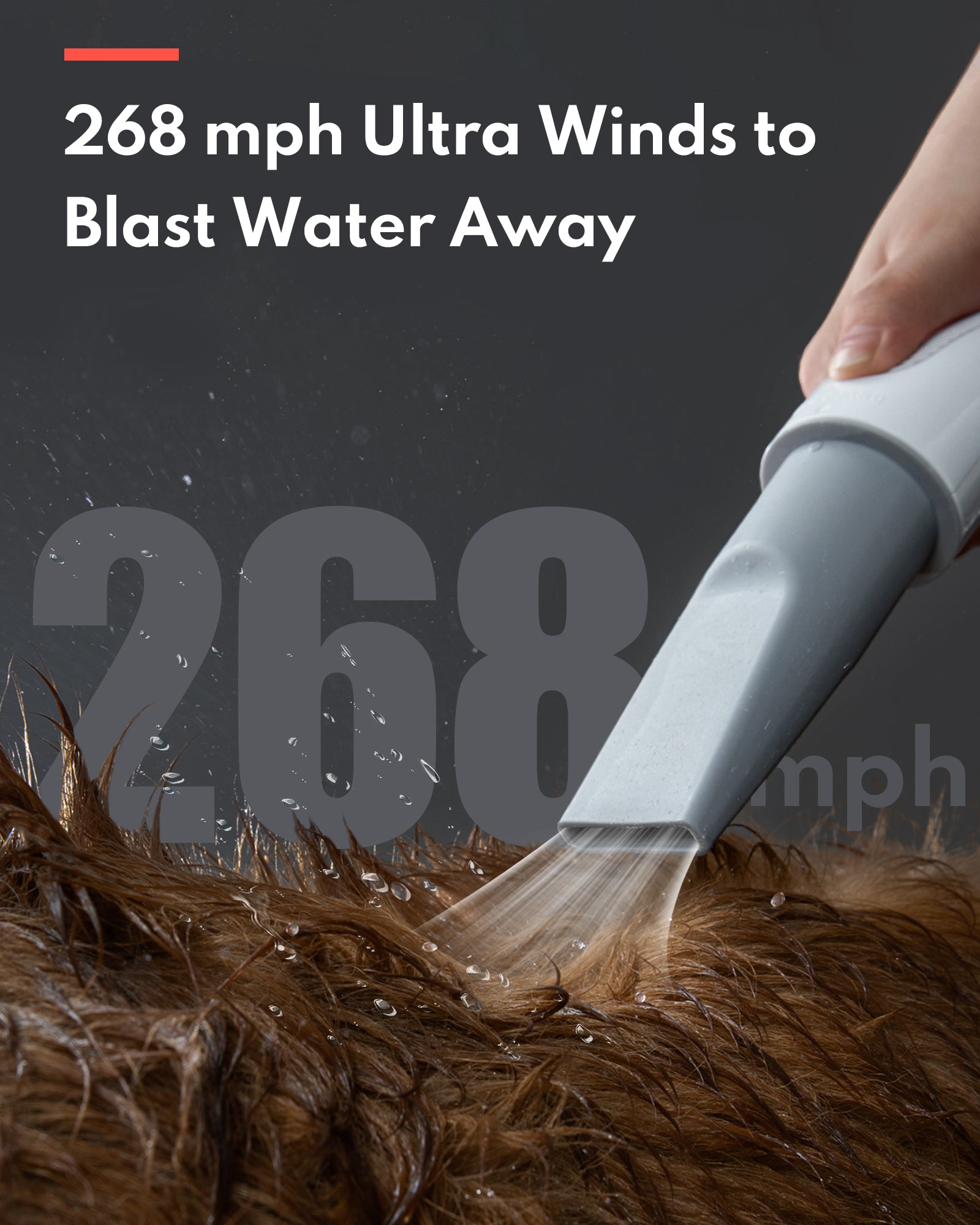 homerunPET Pet Hair Dryer (PD10) 寵物吹水機