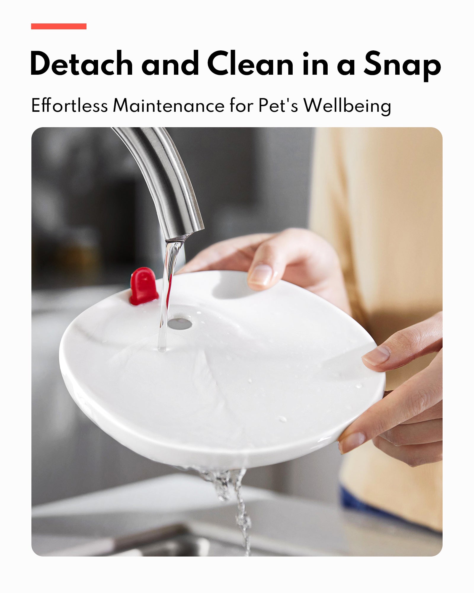 homerunPET Pet Fountain Porcelain + Wireless UVC Pump (CF20) 三代無線水泵殺菌飲水機