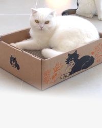 Dr Felis Box Clinge 貓貓專用粘粘盒 (L – 55×31.8x13cm) 1個裝