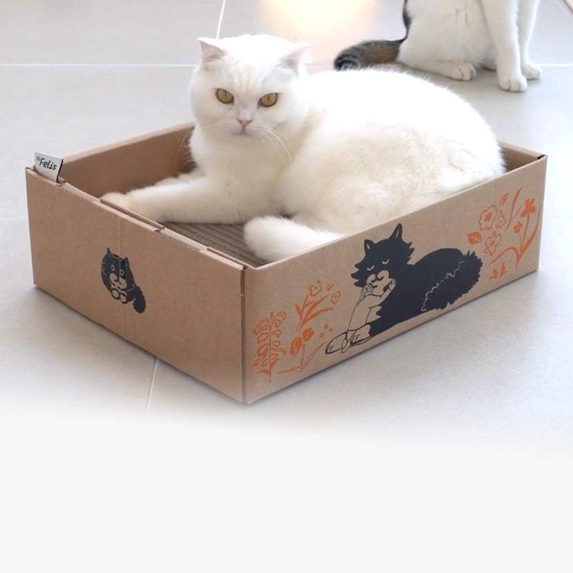 Dr Felis Box Clinge 貓貓專用粘粘盒 (L - 55x31.8x13cm) 1個裝