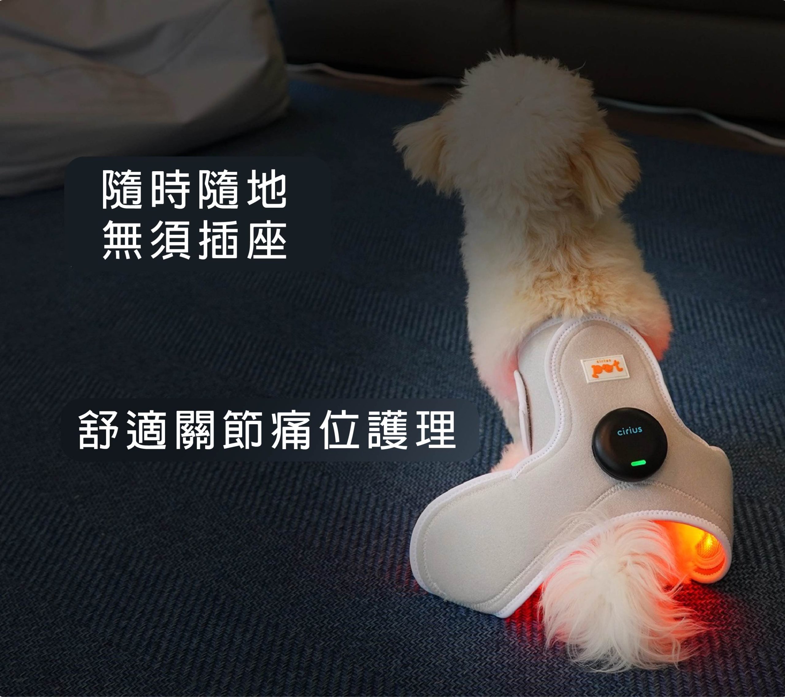 Ciriuspet Wireless Controller (TG-CT02) 無線控制器 2.0